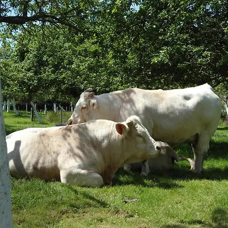 Hébergement de vacances De France® - Ferme Hérault Octeville-sur-Mer