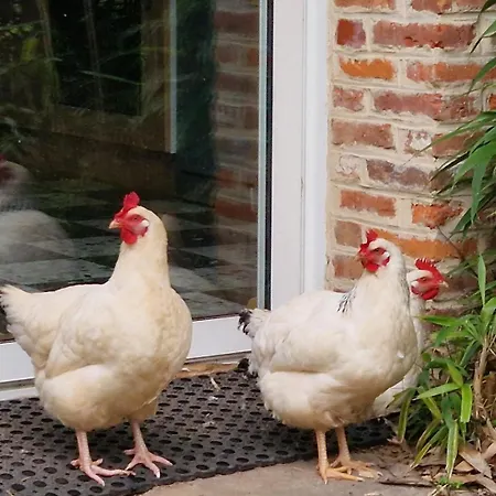 Hébergement de vacances De France® - Ferme Hérault *